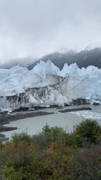 Glaciar Perito Moreno 250 Cuadrados Patagonia Argentina Uno Los Más — Vídeos de Stock