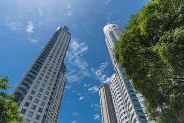 Puerto Madero, Buenos Aires 'te mavi gökyüzü olan modern şirket binaları.