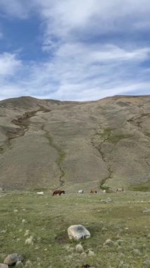 İçinde bir sürü kaya ve su olan erimiş bir su nehri. Su hızlı akıyor ve kayalar nehrin dört bir yanına dağılmış.