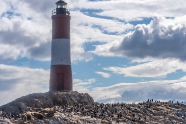 Les Eclaireurs deniz feneri Arjantin, Beagle Channel 'da bulunan karabataklar ve deniz aslanlarıyla çevrili kayalık bir adada duruyor.. 