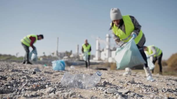 从河岸清理塑料垃圾的年轻妇女 塑料瓶和污染环境的废物 — 图库视频影像