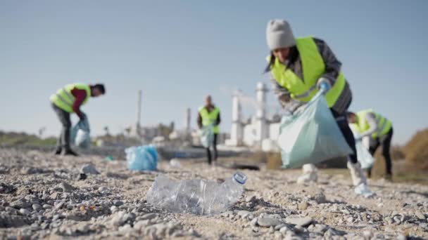 Young Woman Cleaning Plastic Rubbish River Bank Plastic Bottles Waste — Video