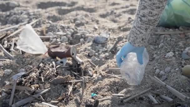 ビーチでペットボトルごみを集めるボランティアの手 生態学の仕事 — ストック動画
