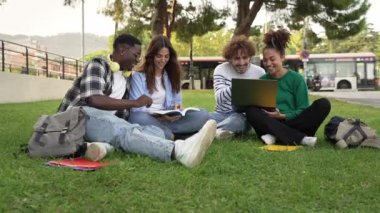 University student sitting on the grass working and learning together