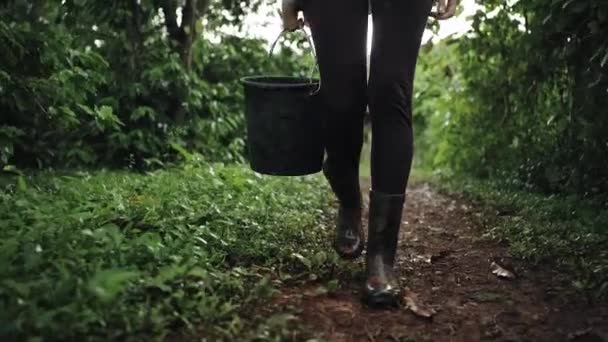 Woman Farmers Feet Rubber Boots Walking Carrying Harvesting Bucket Walking — Stock Video