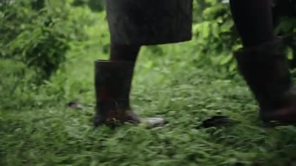 Mladý Zemědělec Žena Gumové Obuvi Nesoucí Kbelík Sklizeň Kráčející Podél — Stock video