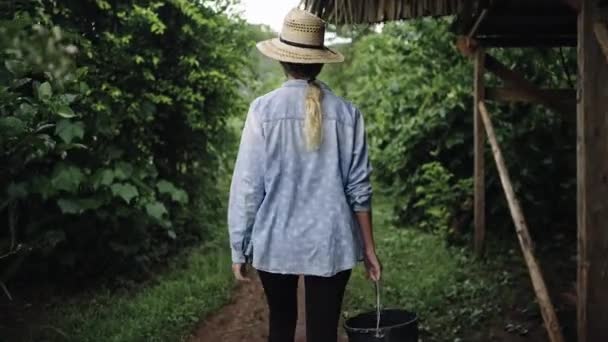 Young Woman Farmer Walking Organic Coffee Plantation Latin America — Stock Video