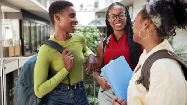 Afrikai Amerikai Diáklányok Beszélgetnek Egyetemen Fekete Női Barátok Főiskolán — Stock videók