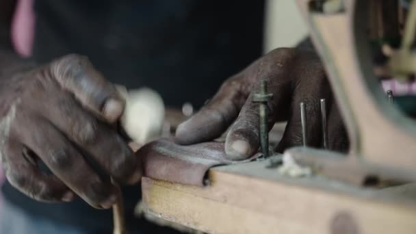 Κοντινό Πλάνο Των Luthiers Χέρια Που Εργάζονται Για Δημιουργία Του Royalty Free Πλάνα Αρχείου