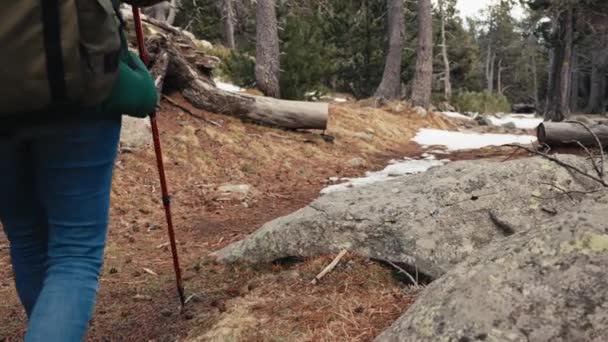 森の山でハイキングする2人の女性バックパッカー 荒野旅行の冒険 — ストック動画