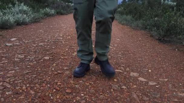 国立公園の保護区を歩いているウォルキー トーキー ラジオと話す男 フォレスト レンジャー — ストック動画