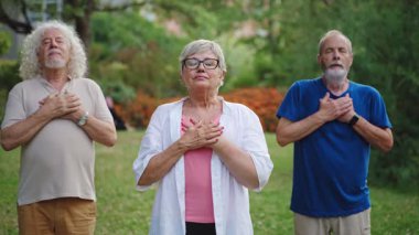 Yaşlı insanlar meditasyon yapıyor, parktaki yoga dersinde avuç içlerini bir arada tutuyorlar.