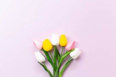 Tulip flower on a pink background. tulips blossom. Top view and copy space. Flat lay. Spring floral background