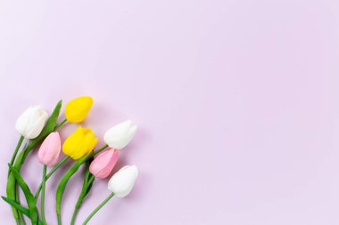 Tulips flower on a pink background. Top view and copy space. Flat lay. Spring floral background