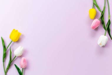 Tulips flower on a pink background. Top view and copy space. Flat lay. Spring floral background