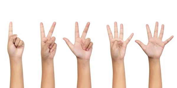 Little Kid Showing One Five Fingers Count Signs Isolated White — Stock Photo, Image