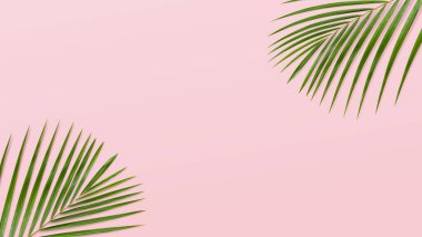 Yeşil yaprak dalları ya da pembe arka planda yapraklar. Üst görünüm, düz görünüm ve boşluk kopyala