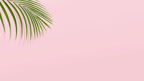 Ветви Зеленого Листа Листья Розовом Фоне Вид Сверху Плоское Копировальное — стоковое фото
