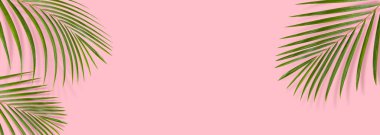 Yeşil yaprak dalları ya da pembe arka planda yapraklar. Üst görünüm, düz görünüm ve boşluk kopyala