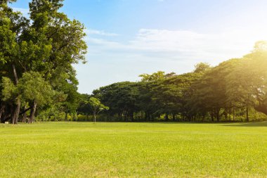 Şehrin yeşil çimenlik arazisi ve bulutlu mavi gökyüzü arkaplanı olan parkın manzarası. Güzel yeşil park
