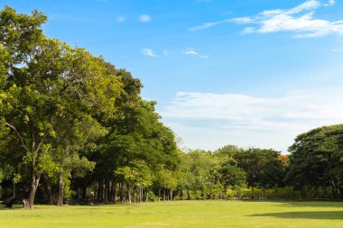 Şehrin yeşil çimenlik arazisi ve bulutlu mavi gökyüzü arkaplanı olan parkın manzarası. Güzel yeşil park