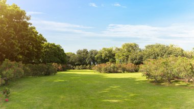 Şehrin yeşil çimenlik arazisi ve bulutlu mavi gökyüzü arkaplanı olan parkın manzarası. Güzel yeşil park