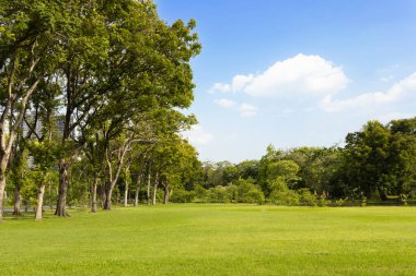 Şehrin yeşil çimenlik arazisi ve bulutlu mavi gökyüzü arkaplanı olan parkın manzarası. Güzel yeşil park