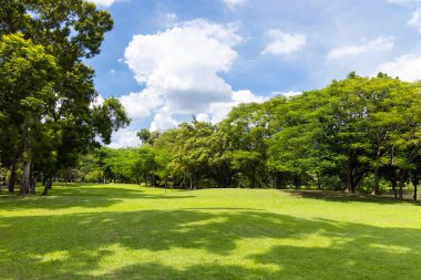 Şehrin yeşil çimenlik arazisi ve bulutlu mavi gökyüzü arkaplanı olan parkın manzarası. Güzel yeşil park