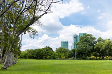 Şehrin yeşil çimenlik arazisi ve bulutlu mavi gökyüzü arkaplanı olan parkın manzarası. Güzel yeşil park