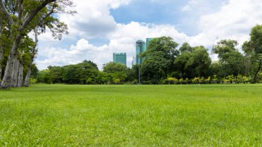 Şehrin yeşil çimenlik arazisi ve bulutlu mavi gökyüzü arkaplanı olan parkın manzarası. Güzel yeşil park
