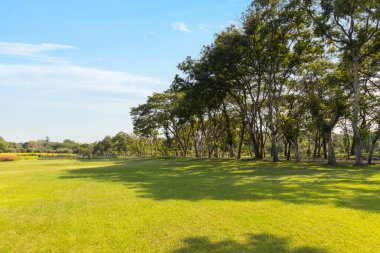 Şehrin yeşil çimenlik arazisi ve bulutlu mavi gökyüzü arkaplanı olan parkın manzarası. Güzel yeşil park