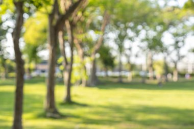 Güzel bulanık bir arkaplan. Park bahçesinin manzarası bulanık bokeh arkaplan. Güzel parkta yeşil ağaçlar