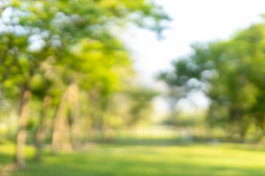 Güzel bulanık bir arkaplan. Park bahçesinin manzarası bulanık bokeh arkaplan. Güzel parkta yeşil ağaçlar