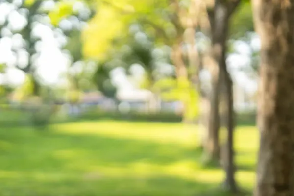 Güzel bulanık bir arkaplan. Park bahçesinin manzarası bulanık bokeh arkaplan. Güzel parkta yeşil ağaçlar