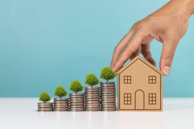 Bir adam madeni paralarla minyatür bir ev ve büyüyen bir çam ağacını emlak yatırımlarının büyüdüğünü gösteren para sırasına koyuyor.