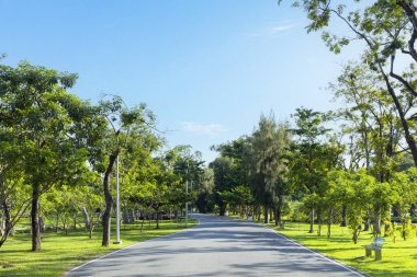 Yeşil Park 'taki yol. Kentte yeşil çimen tarlası ve bulutlu mavi gökyüzü arkaplanı olan parkın manzarası.