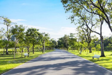 Yeşil Park 'taki yol. Kentte yeşil çimen tarlası ve bulutlu mavi gökyüzü arkaplanı olan parkın manzarası.