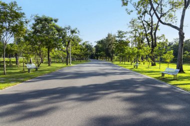 Yeşil Park 'taki yol. Şehrin yeşil çimenlik arazisi ve mavi gökyüzü arkaplanı olan parkın manzarası