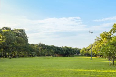 Yeşil çimen tarlası ve akşam mavi gökyüzü olan parkın manzarası. Güzel yeşil park