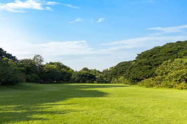 Şehrin yeşil çimenlik arazisi ve bulutlu mavi gökyüzü arkaplanı olan parkın manzarası. Güzel yeşil park