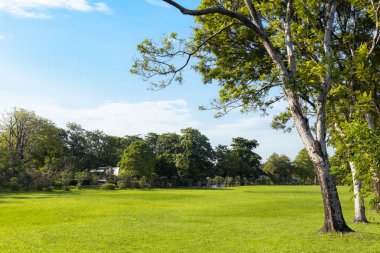 Şehrin yeşil çimenlik arazisi ve bulutlu mavi gökyüzü arkaplanı olan parkın manzarası. Güzel yeşil park