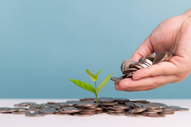 Masadaki madeni paraların üzerinde büyüyen bir ağaca bozuk para veren bir adam. Mali konsept