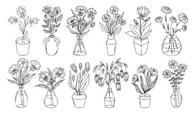 Çiçekler, beyaz arka planda izole vazo ve çömlek eşliğinde tasvir edilmiş. Vektör çiçek seti, ev bitkisi çizimi resim çizimi, çiçek çizim koleksiyonu.