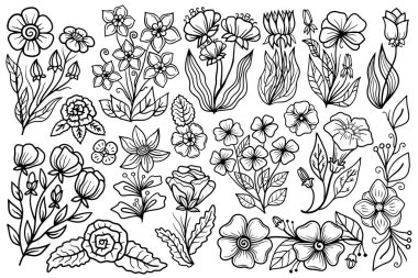 Çizgi çizen el çizimi çiçekler. Yaprak çizimleri olan çiçekler, çizim çizimi seti.