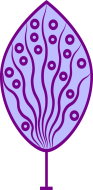 Soyut dekoratif, canlı renkli ağaç. Şeffaf arkaplanı olan PNG