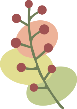 Boho tasarım elemanı. Şeffaf arkaplanı olan PNG