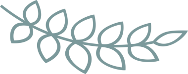 Boho tasarım elemanı. Şeffaf arkaplanı olan PNG