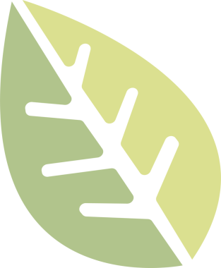 Boho tasarım elemanı. Şeffaf arkaplanı olan PNG