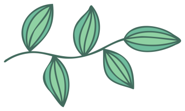 Bitki dekorasyonu. Şeffaf arkaplanı olan PNG.