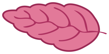 Bitki dekorasyonu. Şeffaf arkaplanı olan PNG.